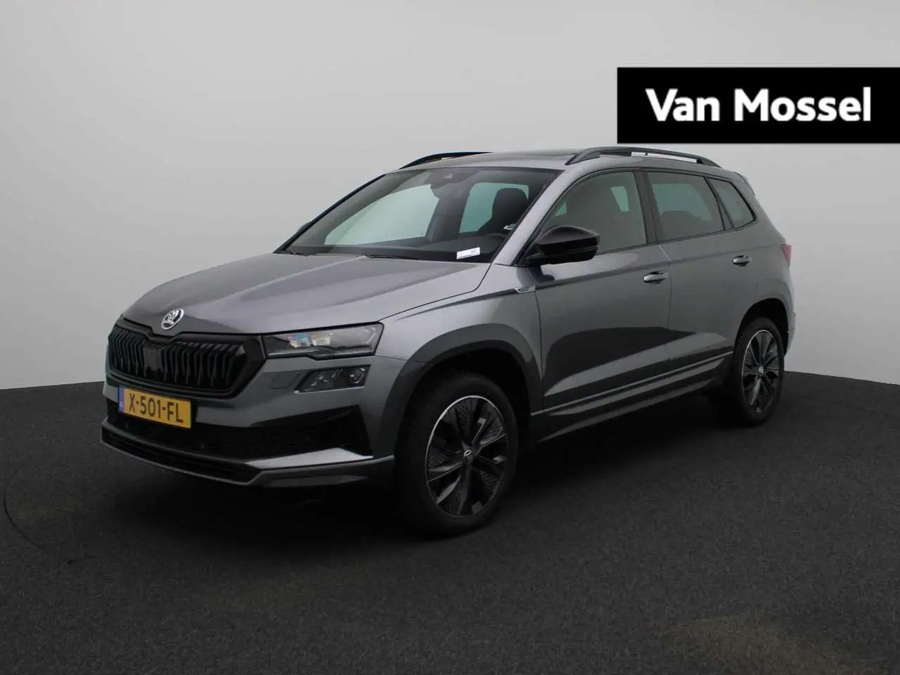 Photo 1 : Skoda Karoq 2023 Petrol