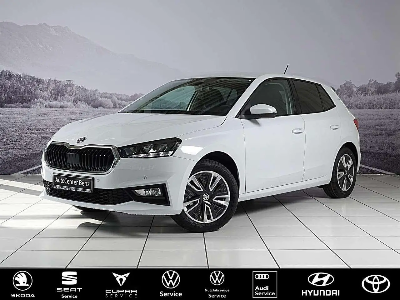 Photo 1 : Skoda Fabia 2021 Petrol