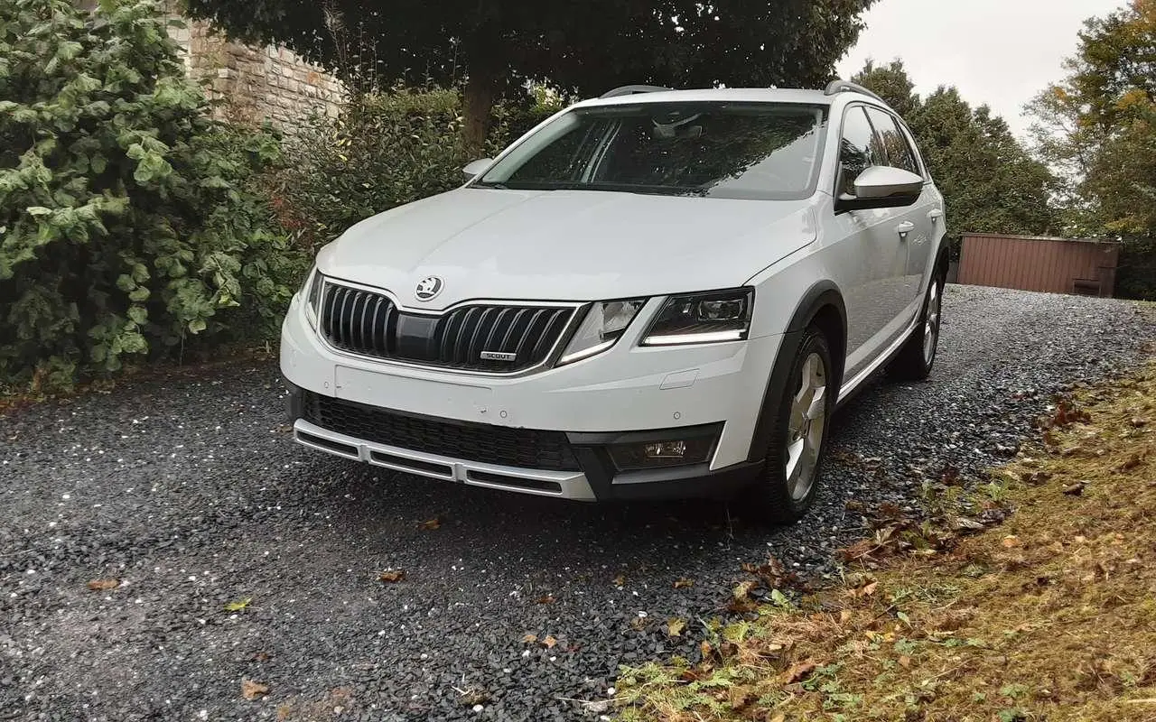 Photo 1 : Skoda Octavia 2020 Diesel