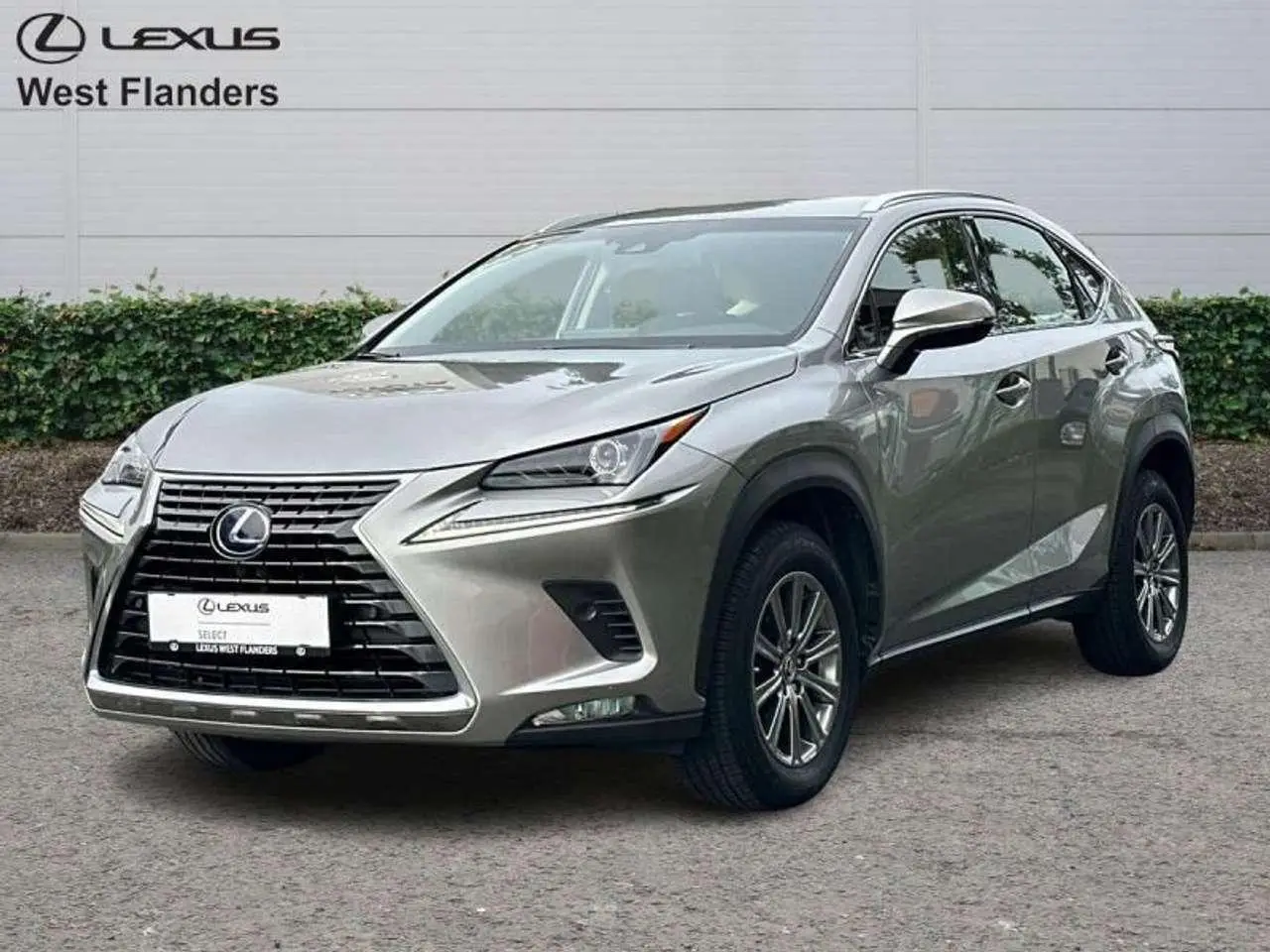 Photo 1 : Lexus Nx 2018 Hybrid