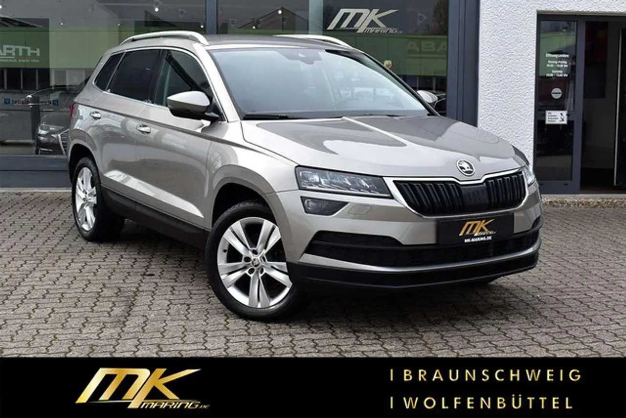 Photo 1 : Skoda Karoq 2019 Diesel