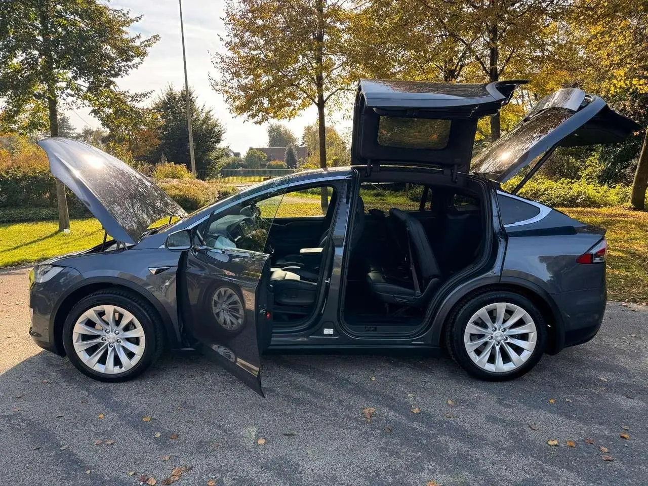 Photo 1 : Tesla Model X 2019 Electric