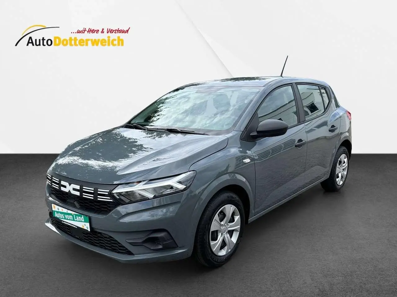 Photo 1 : Dacia Sandero 2024 Petrol