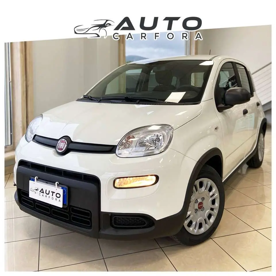 Photo 1 : Fiat Panda 2024 Hybrid