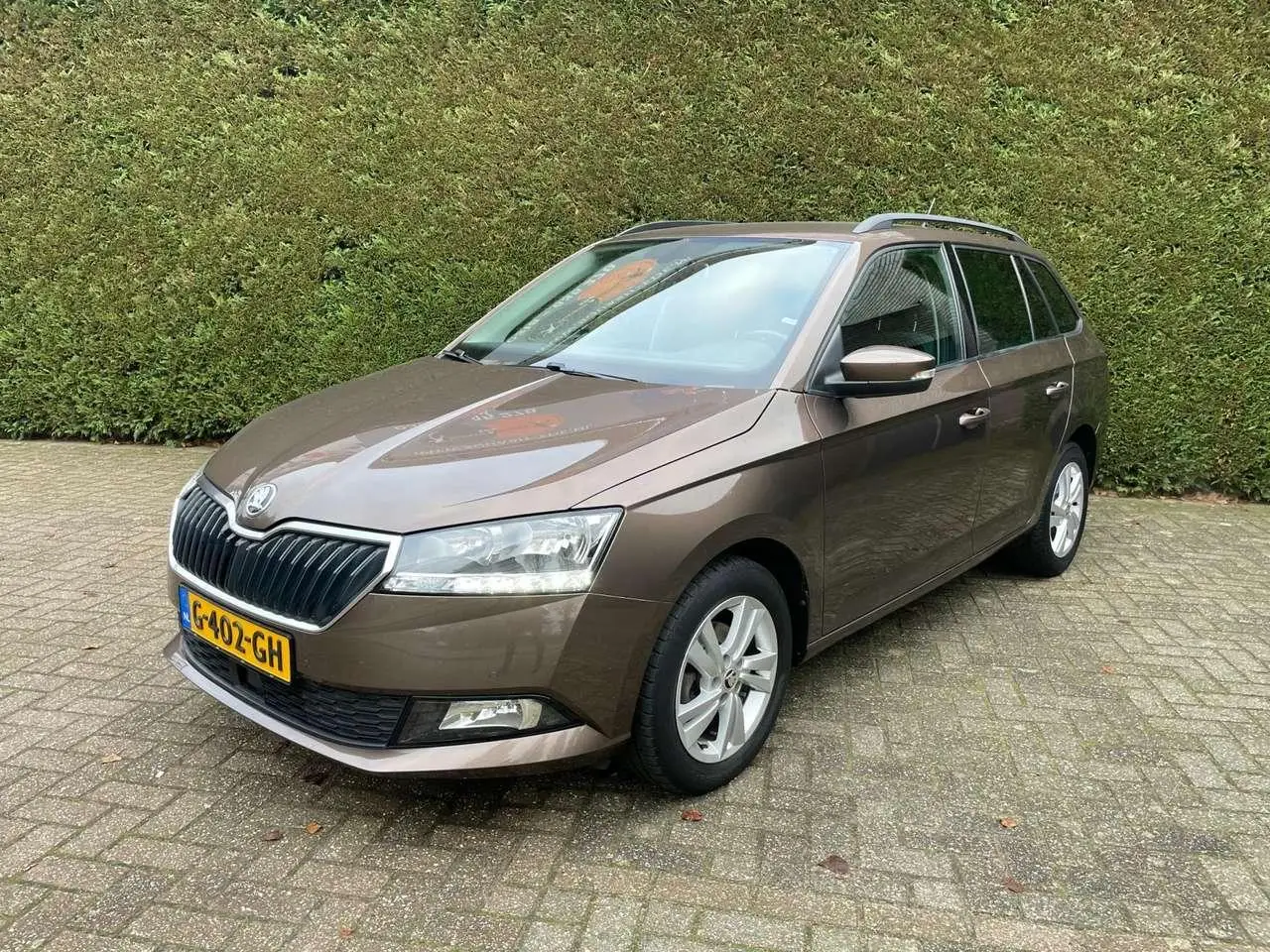 Photo 1 : Skoda Fabia 2019 Petrol