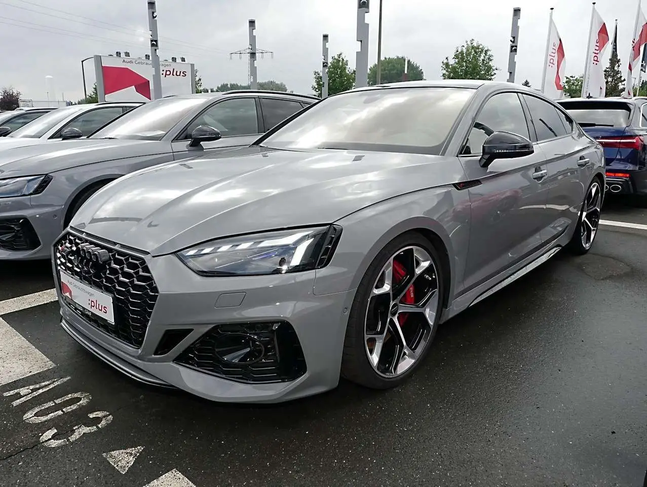 Photo 1 : Audi Rs5 2024 Essence