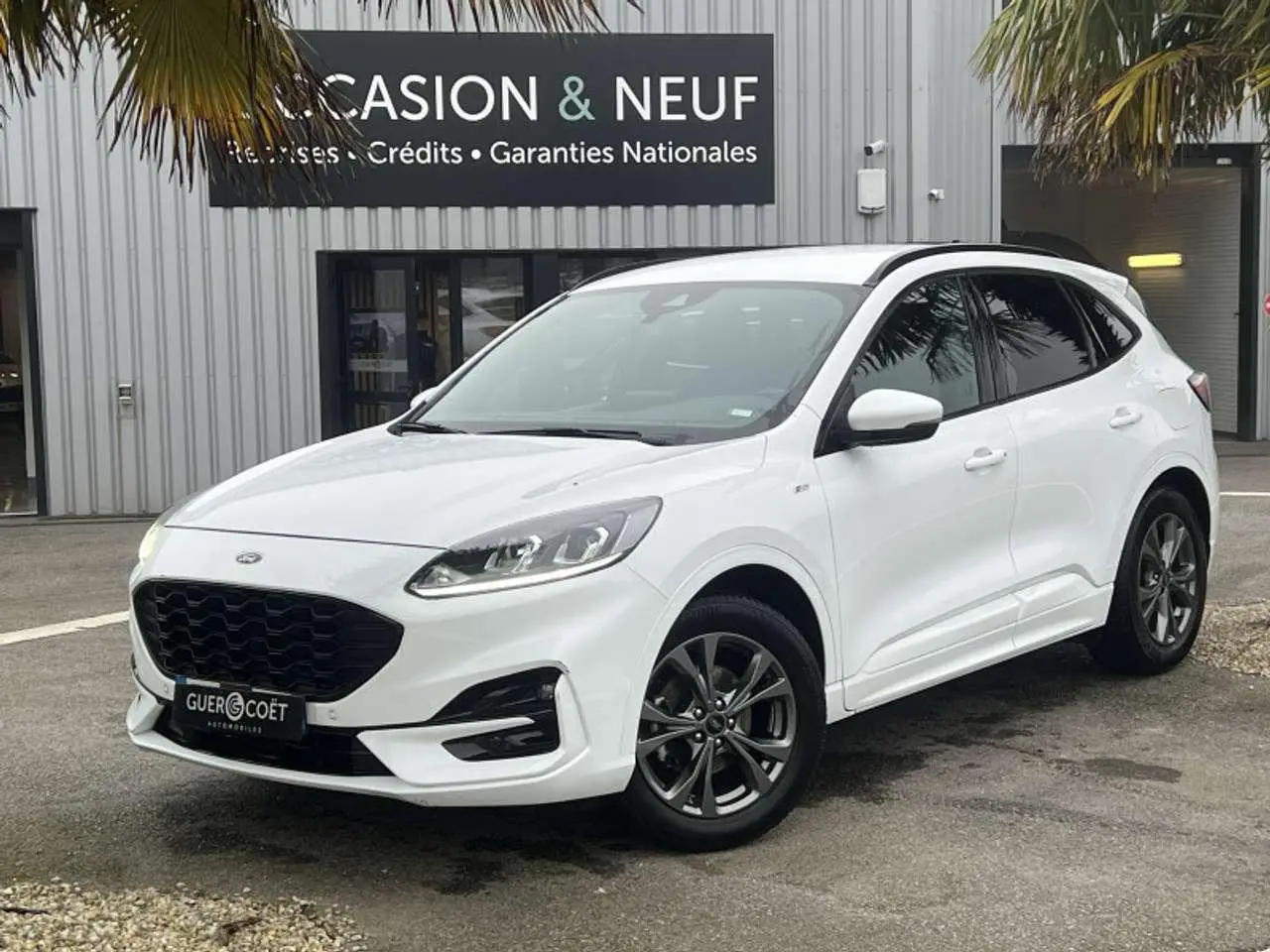 Photo 1 : Ford Kuga 2021 Diesel