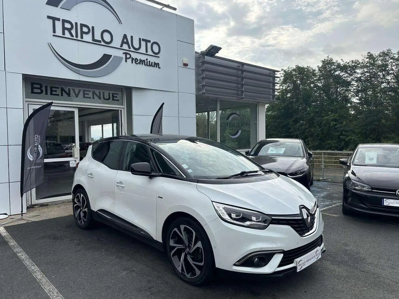 Photo 1 : Renault Scenic 2017 Diesel