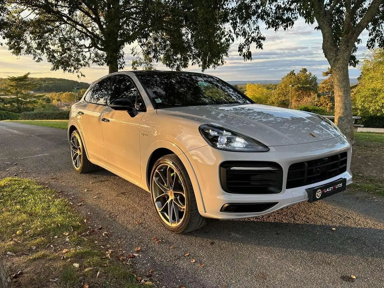 Photo 1 : Porsche Cayenne 2021 Hybride