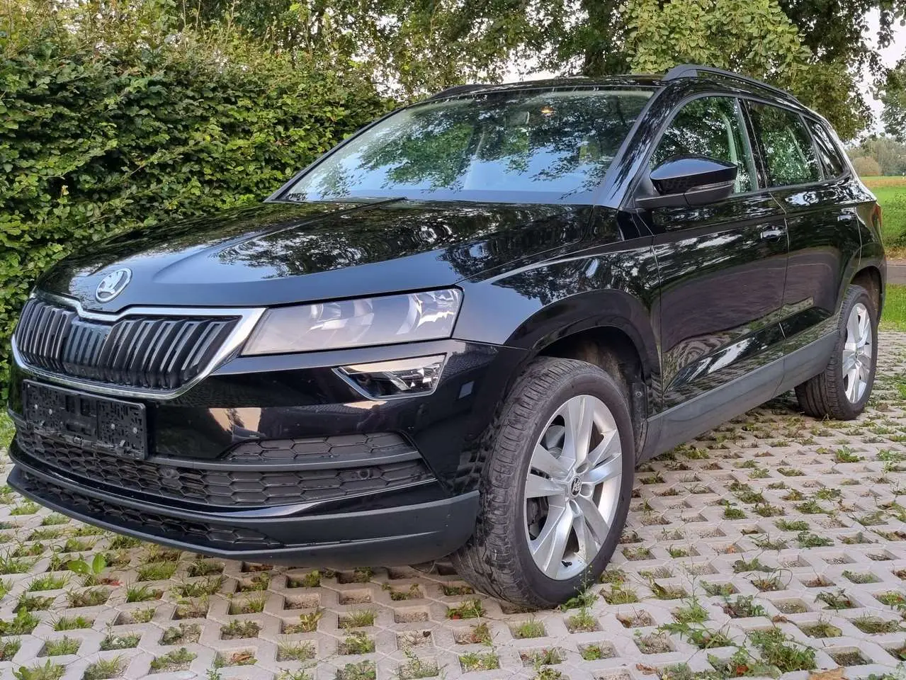 Photo 1 : Skoda Karoq 2019 Diesel