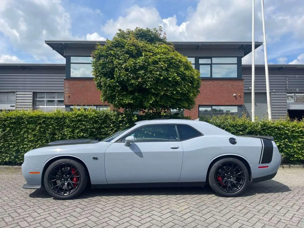 Photo 1 : Dodge Challenger 2020 Petrol