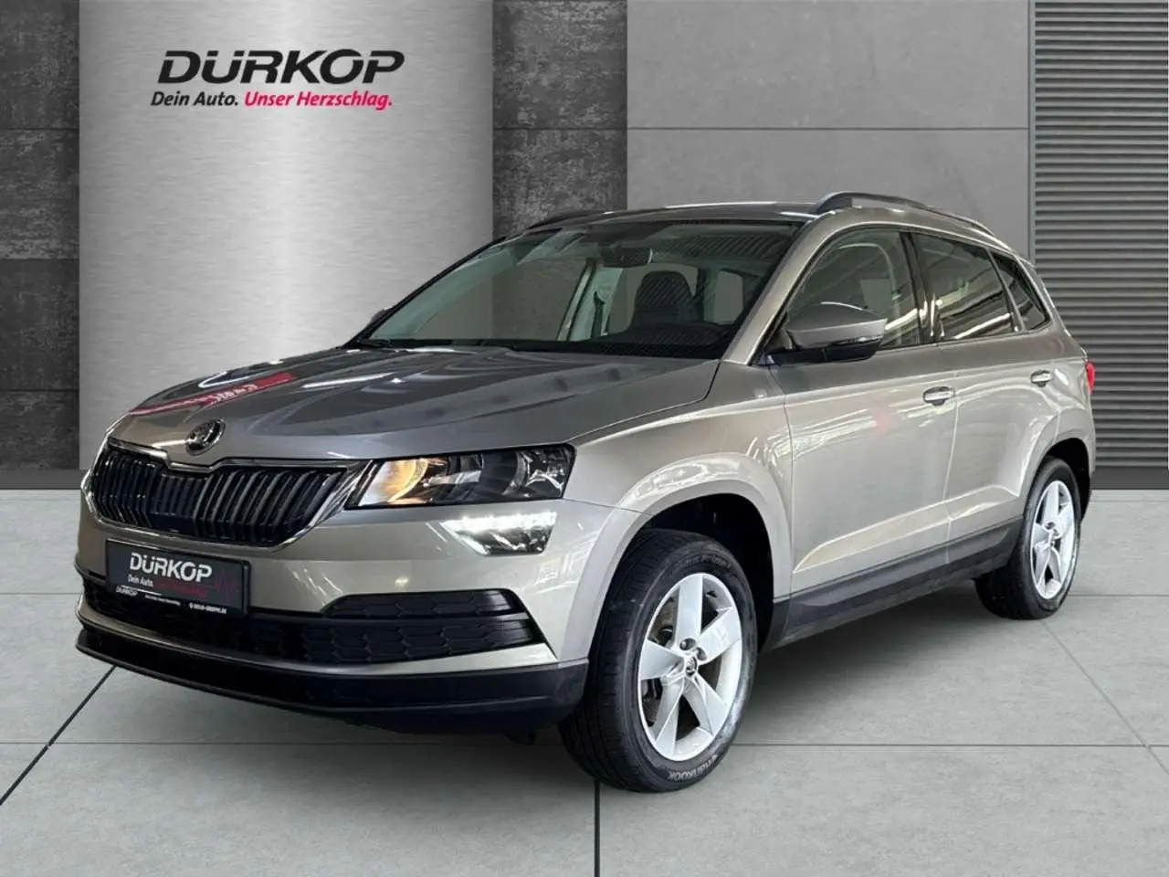 Photo 1 : Skoda Karoq 2017 Diesel