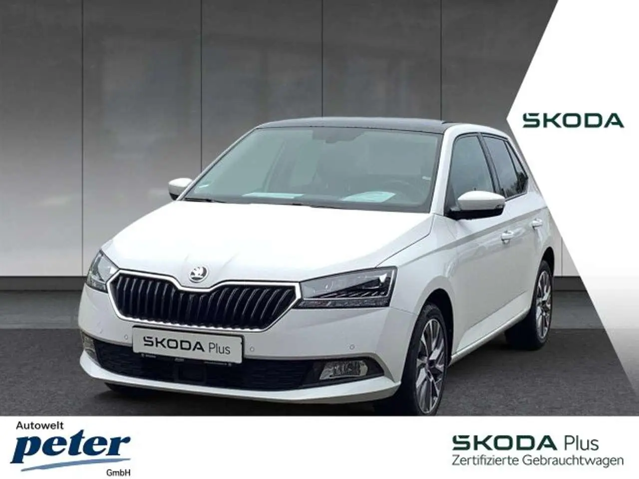 Photo 1 : Skoda Fabia 2021 Petrol