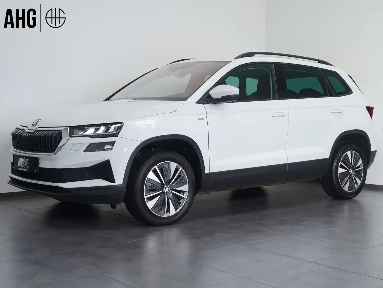 Photo 1 : Skoda Karoq 2023 Diesel