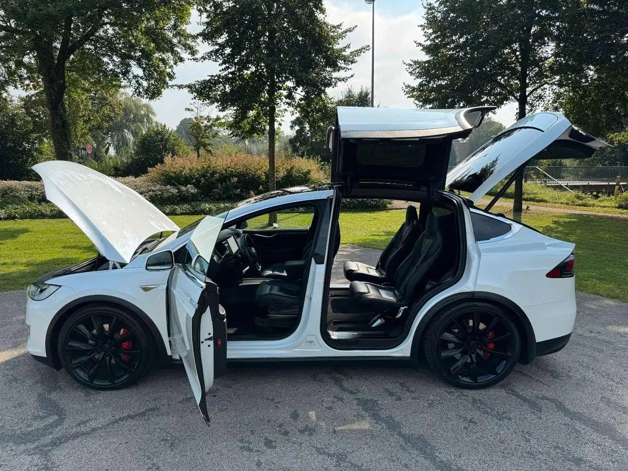 Photo 1 : Tesla Model X 2016 Electric