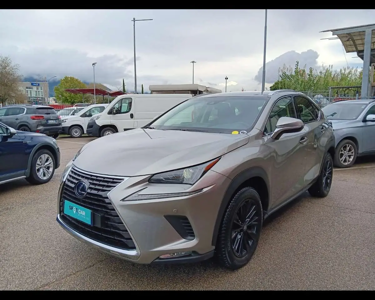 Photo 1 : Lexus Nx 2019 Hybrid