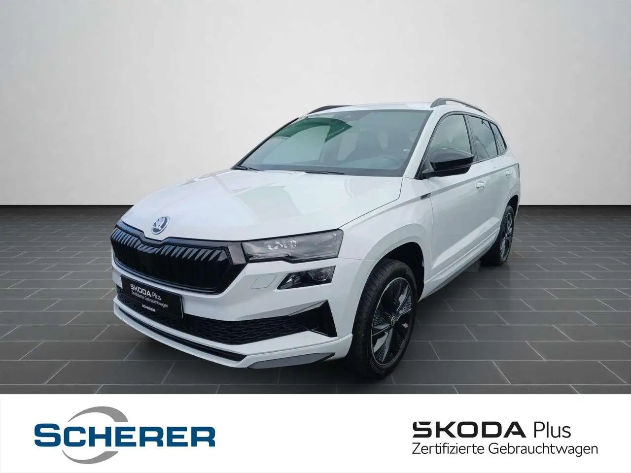 Photo 1 : Skoda Karoq 2024 Petrol