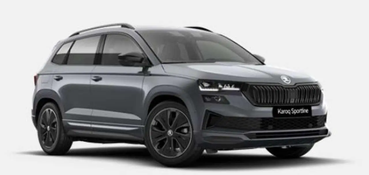 Photo 1 : Skoda Karoq 2024 Petrol