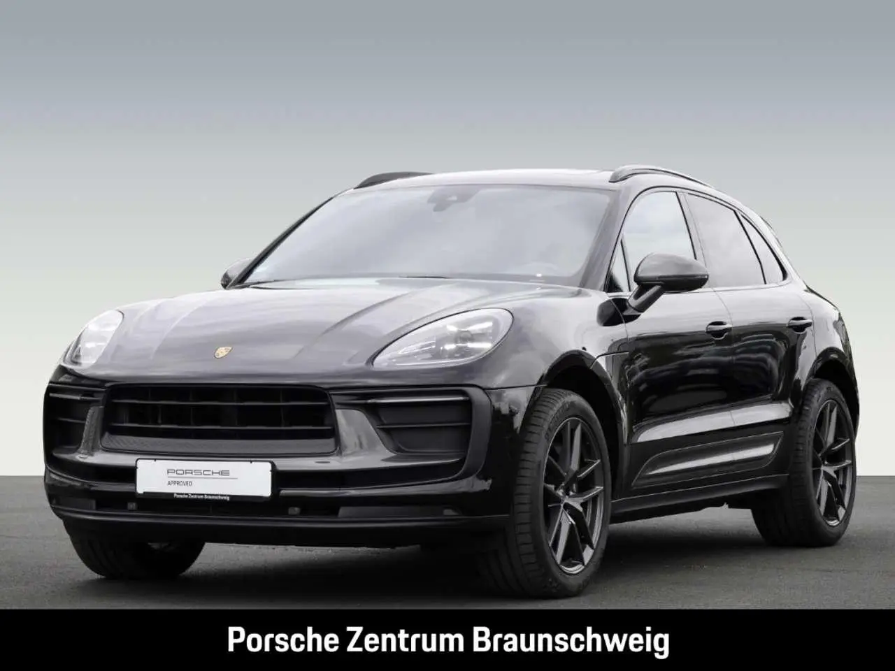 Photo 1 : Porsche Macan 2023 Petrol