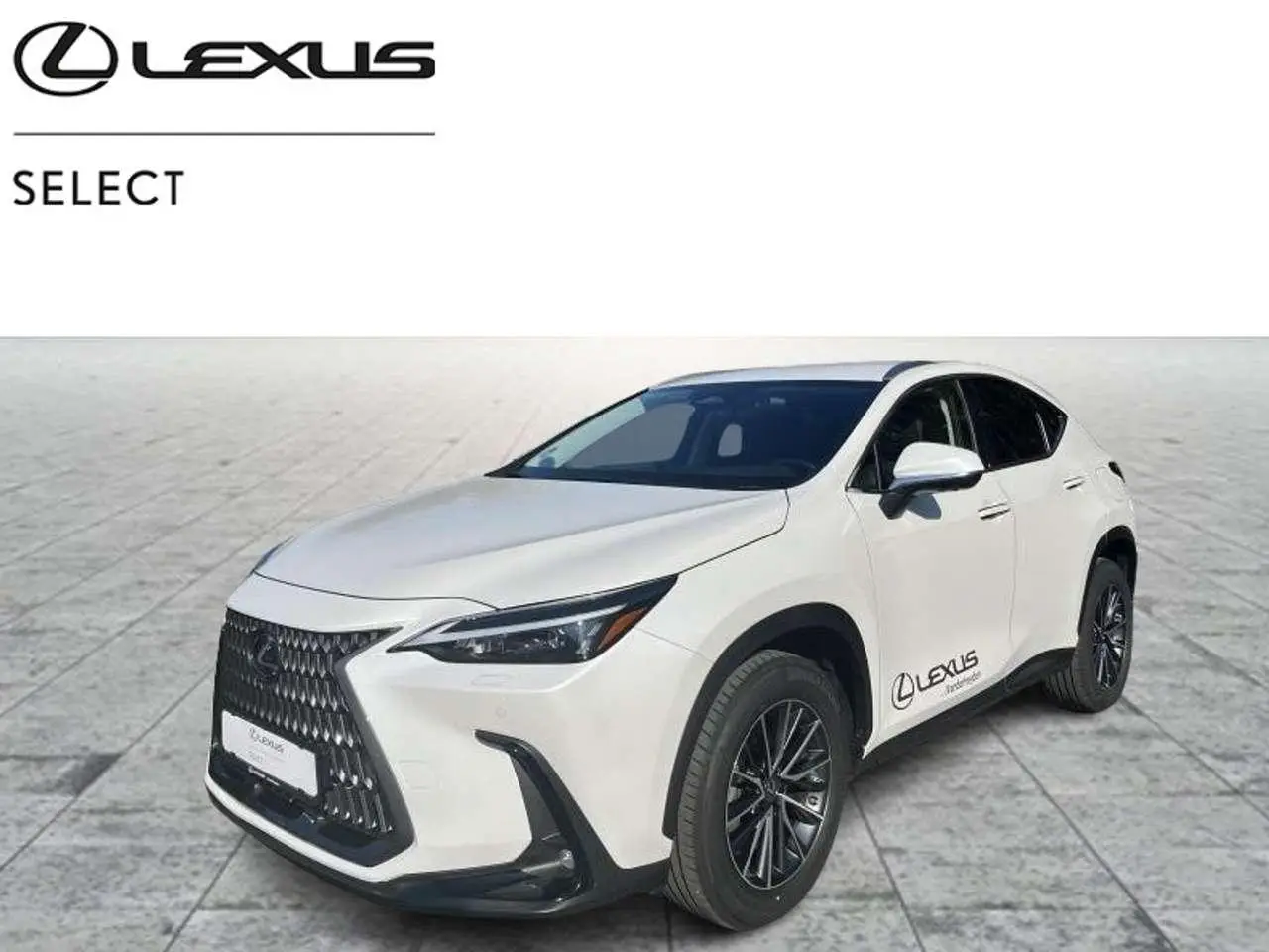 Photo 1 : Lexus Nx 2022 Hybrid