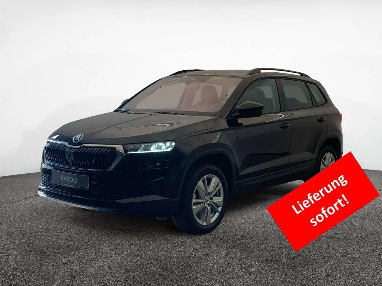 Photo 1 : Skoda Karoq 2024 Essence