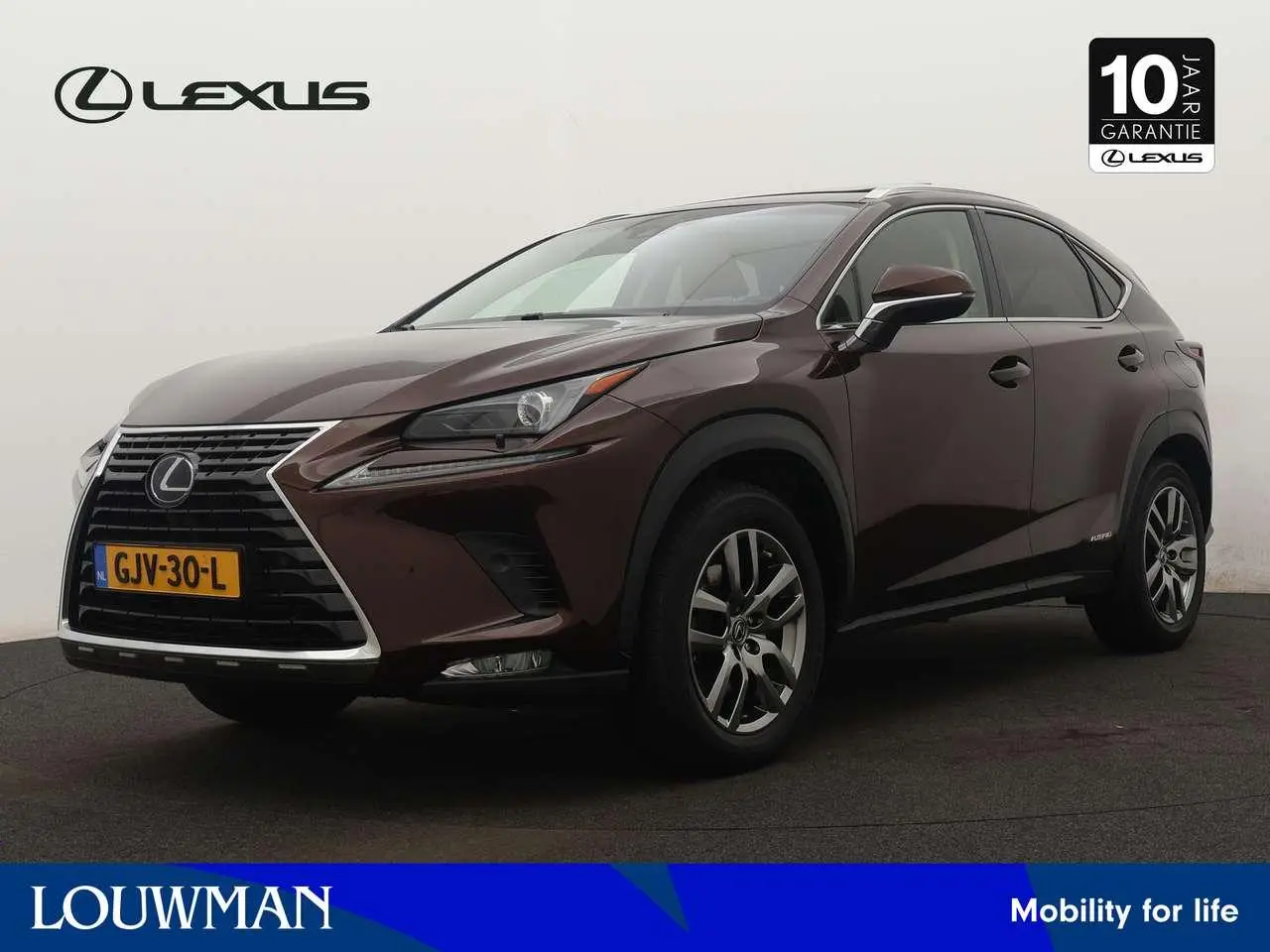 Photo 1 : Lexus Nx 2019 Hybrid