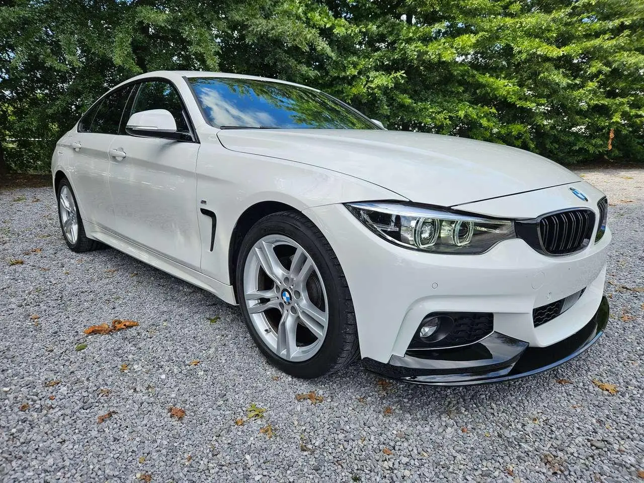 Photo 1 : Bmw Serie 4 2019 Diesel