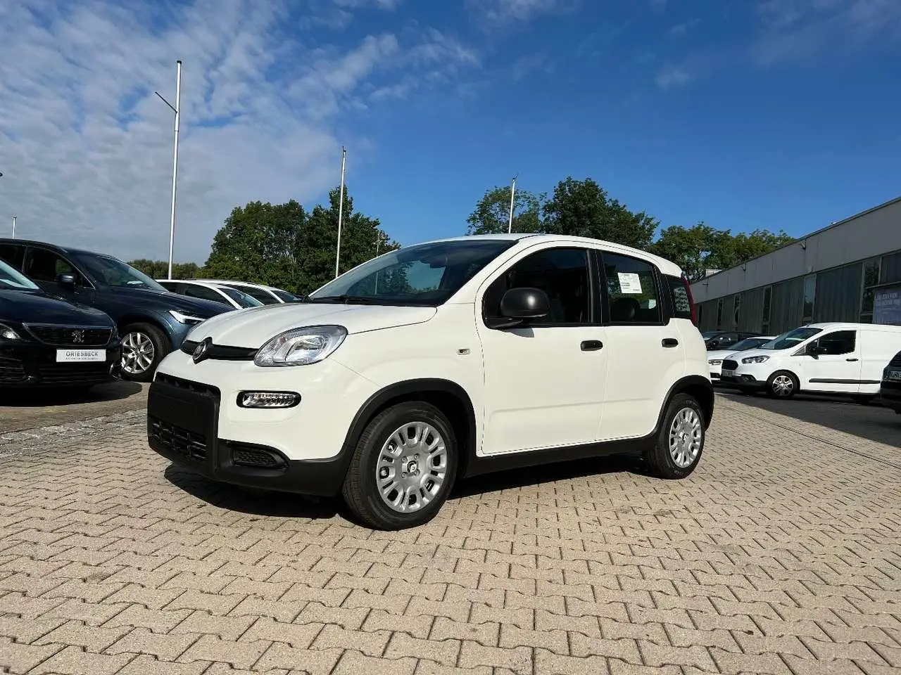 Photo 1 : Fiat Panda 2024 Petrol