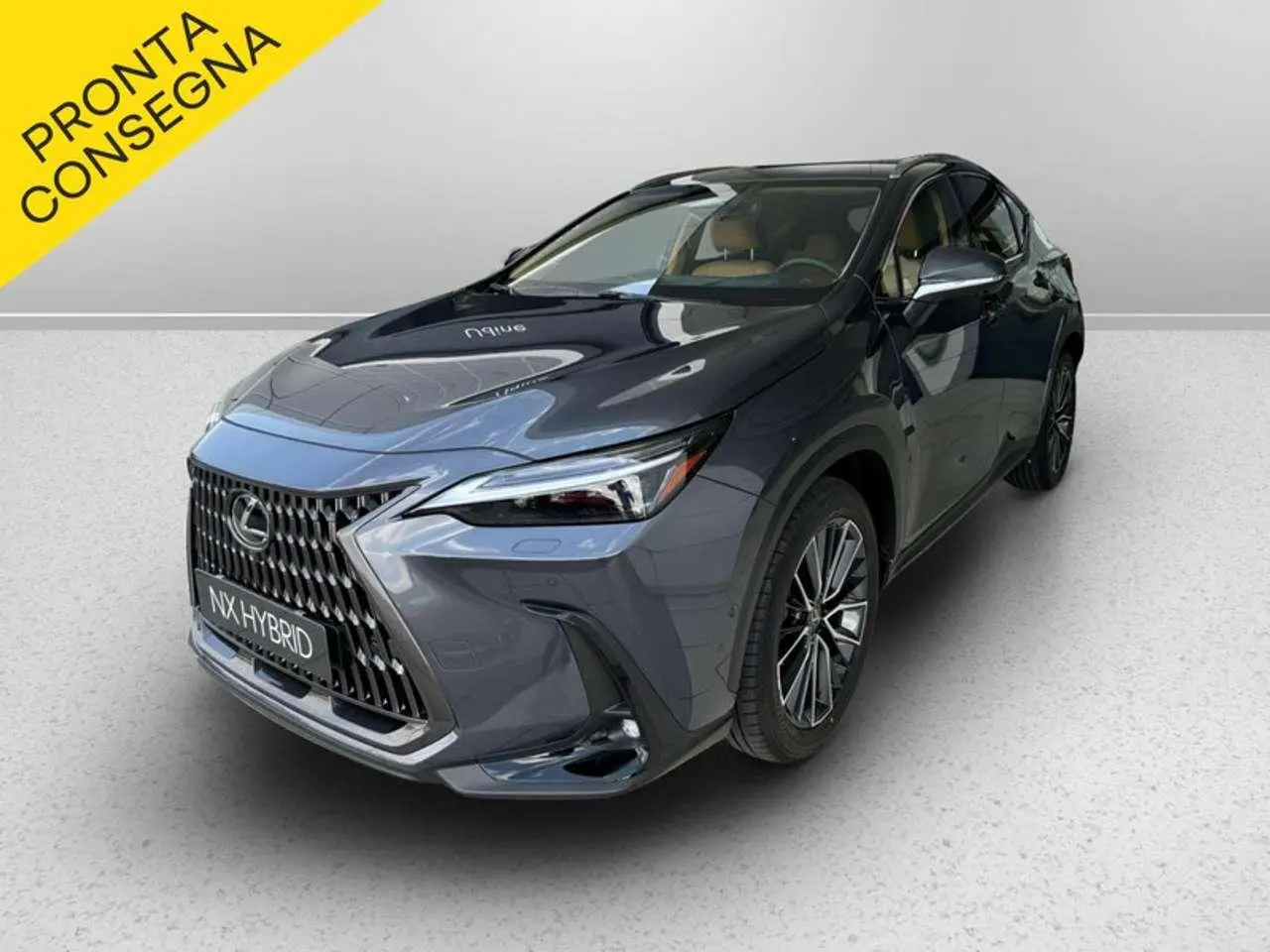 Photo 1 : Lexus Nx 2024 Hybride