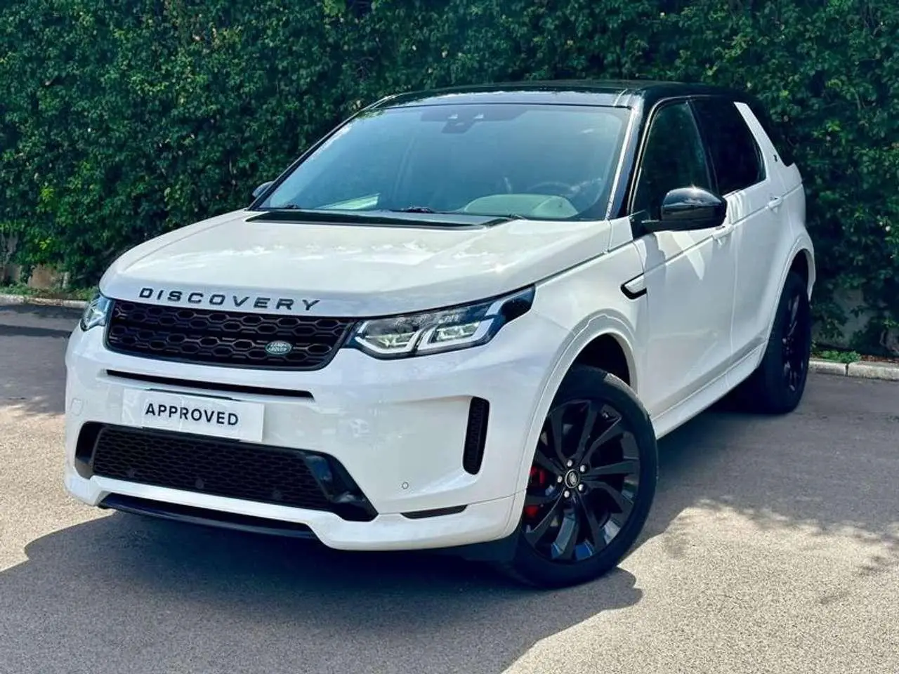 Photo 1 : Land Rover Discovery 2019 Hybride