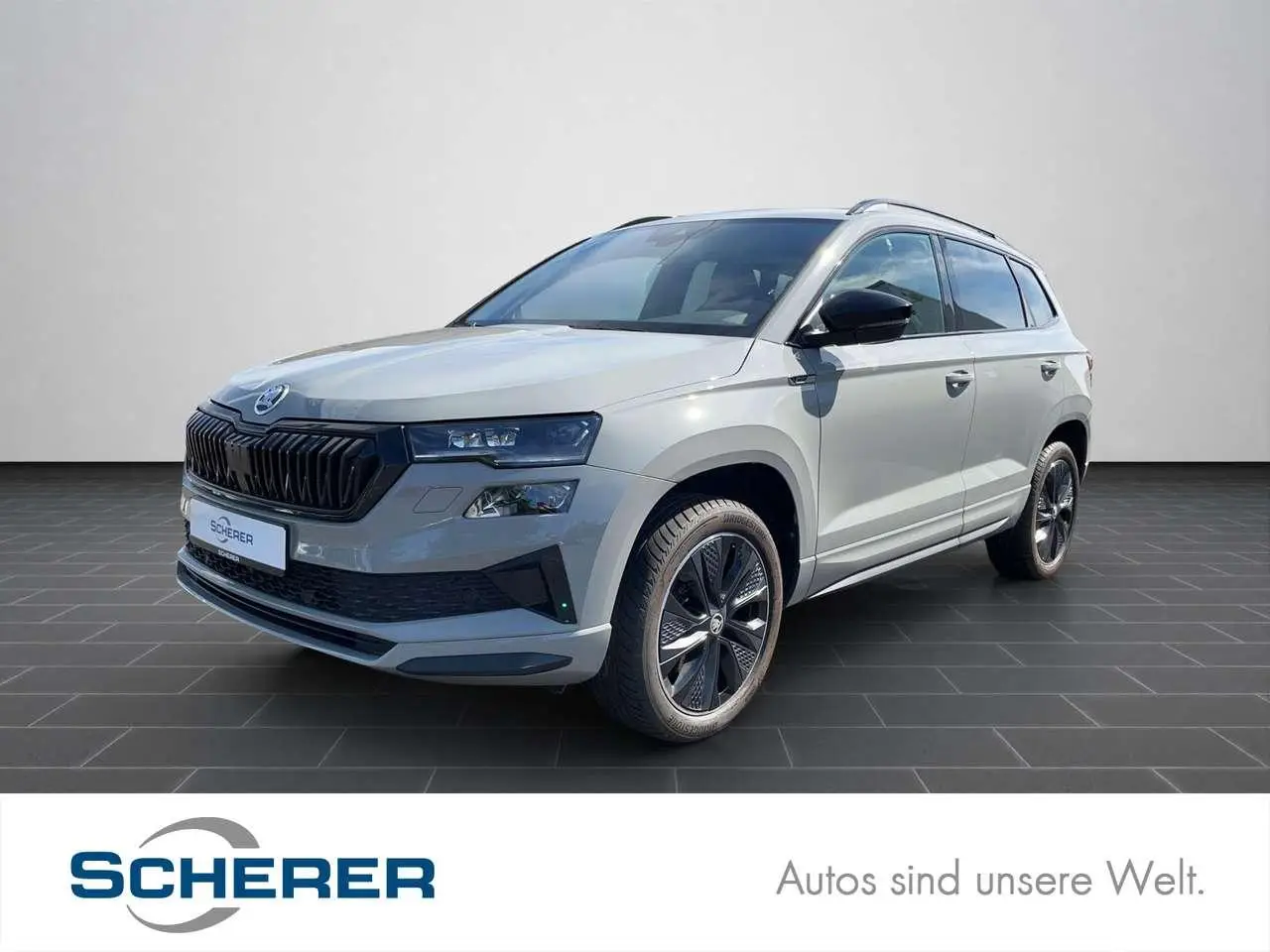 Photo 1 : Skoda Karoq 2023 Essence