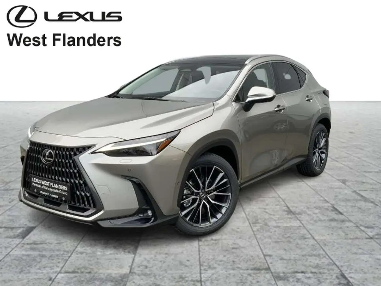 Photo 1 : Lexus Nx 2024 Hybrid