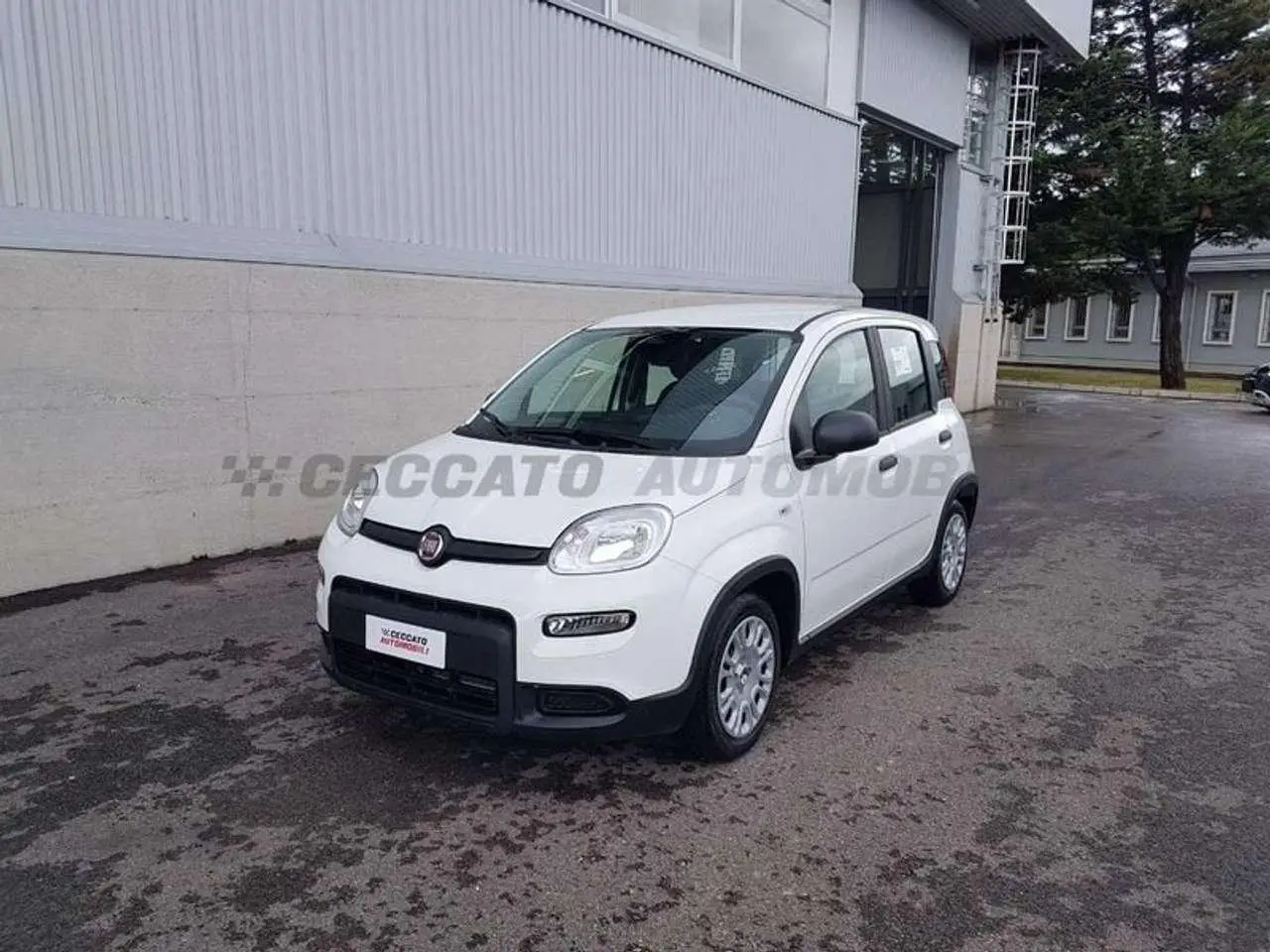 Photo 1 : Fiat Panda 2024 Hybrid