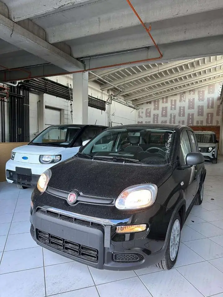 Photo 1 : Fiat Panda 2024 Hybrid