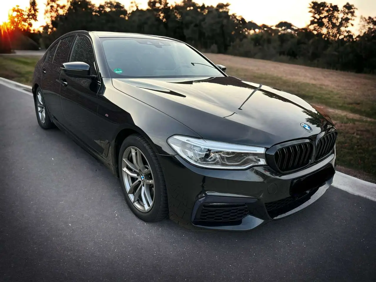 Photo 1 : Bmw Serie 5 2019 Diesel