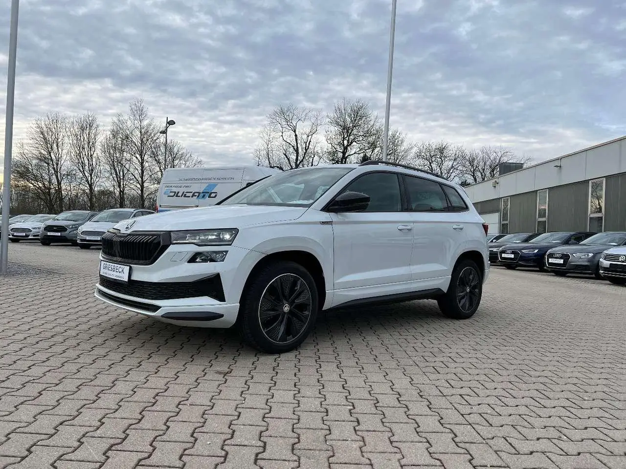 Photo 1 : Skoda Karoq 2022 Petrol