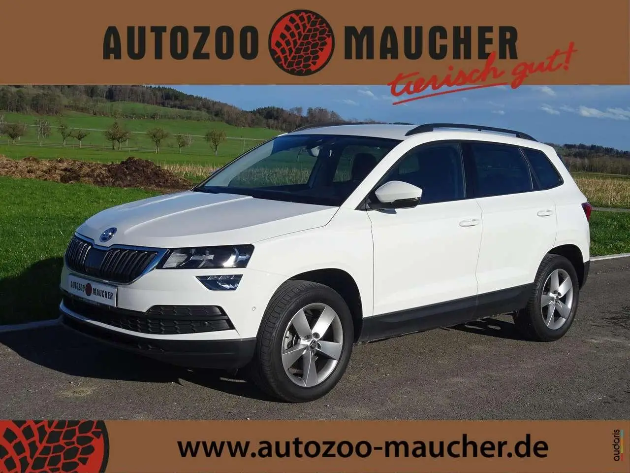 Photo 1 : Skoda Karoq 2019 Diesel