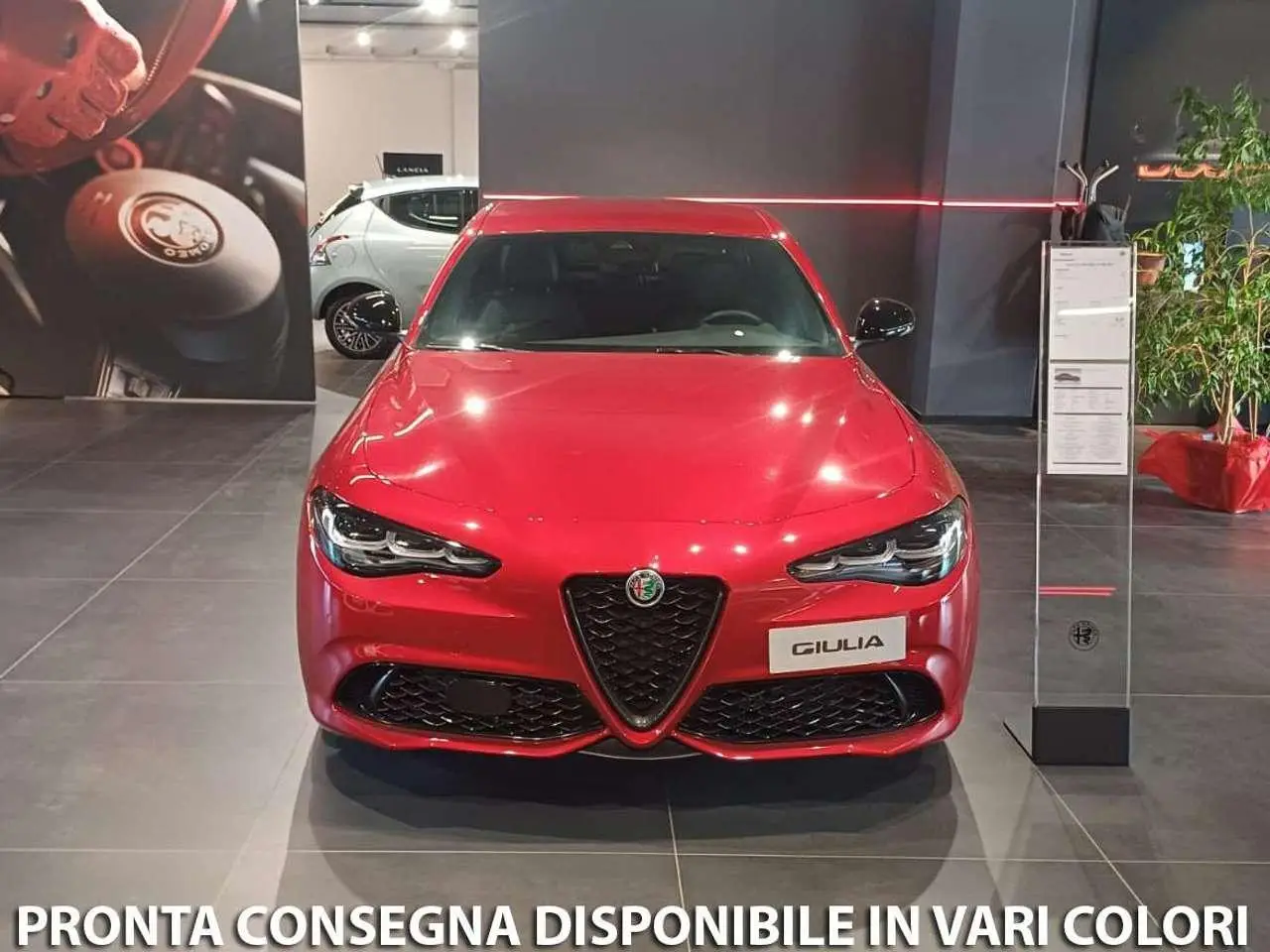 Photo 1 : Alfa Romeo Giulia 2024 Diesel