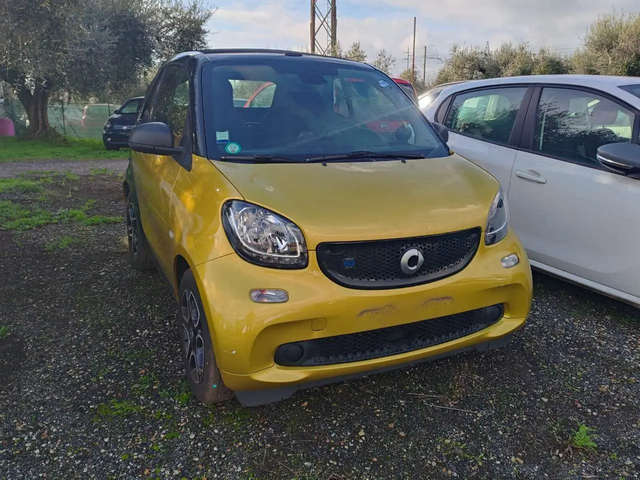 Photo 1 : Smart Fortwo 2019 Electric