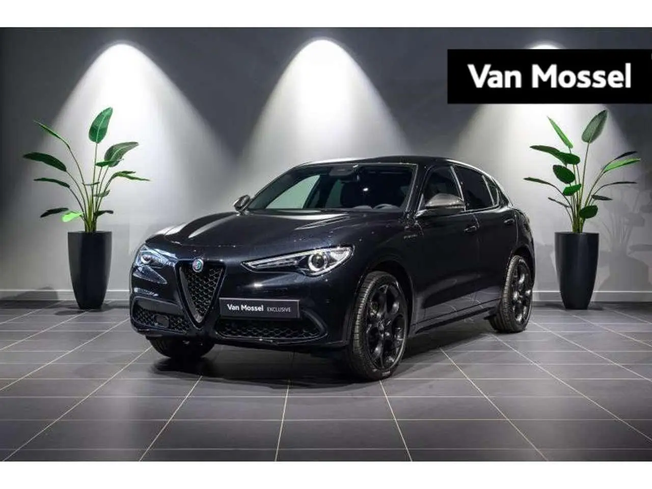 Photo 1 : Alfa Romeo Stelvio 2023 Petrol