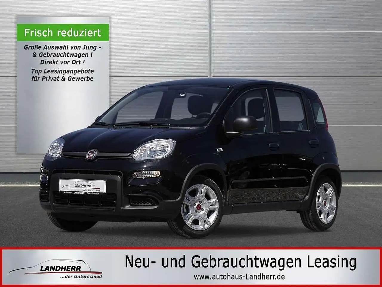 Photo 1 : Fiat Panda 2024 Petrol