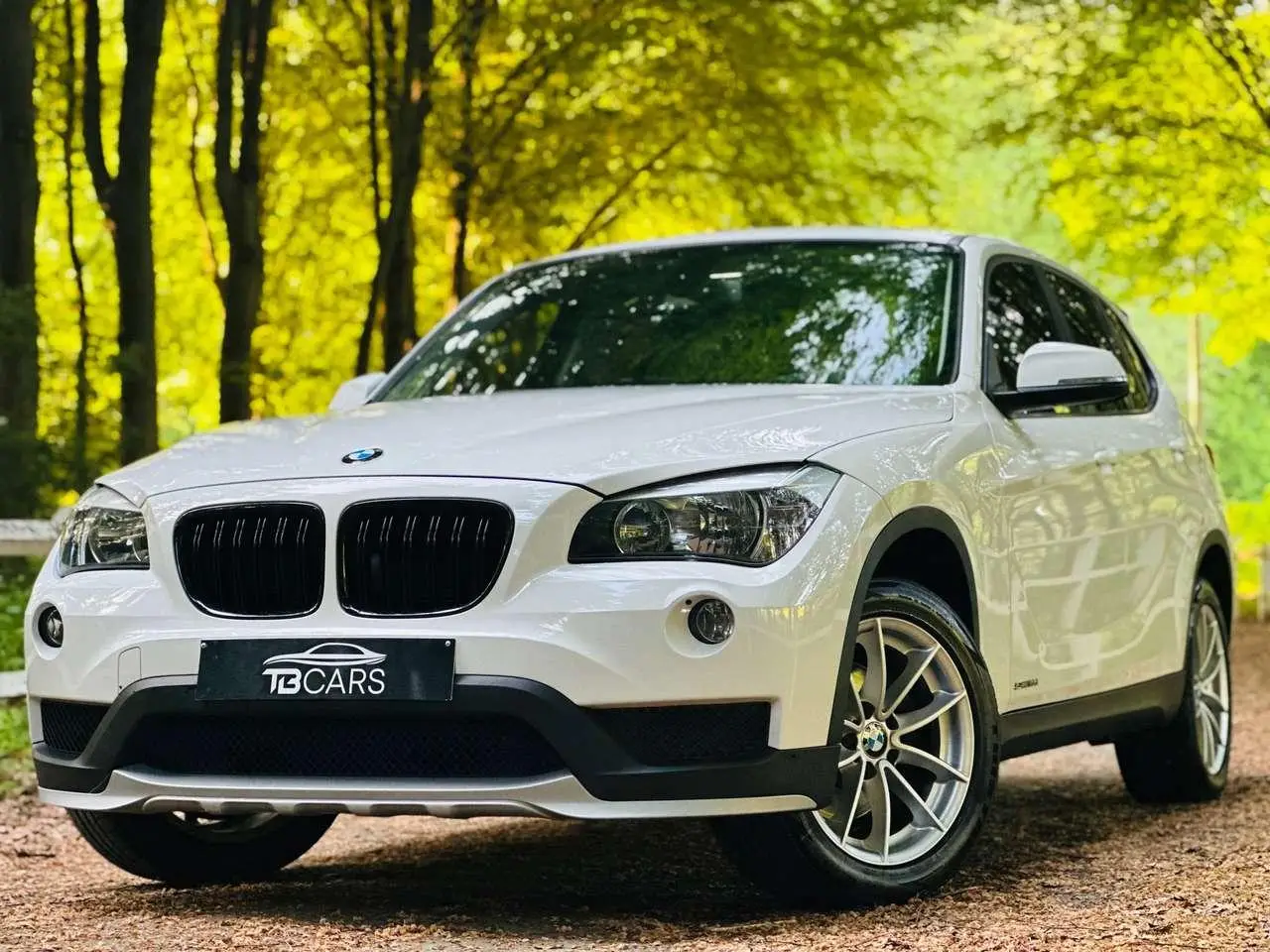 Photo 1 : Bmw X1 2016 Diesel