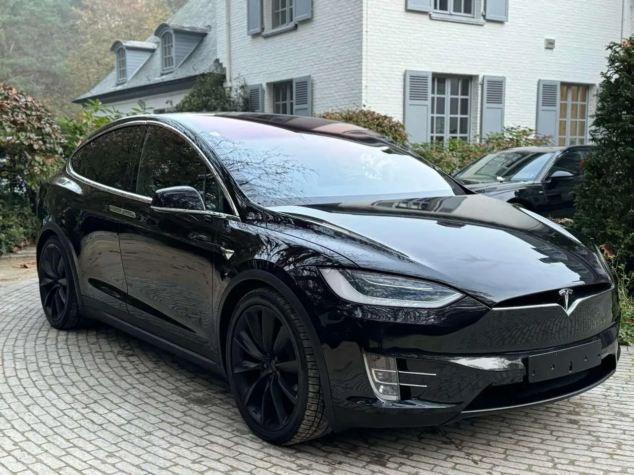 Photo 1 : Tesla Model X 2019 Electric