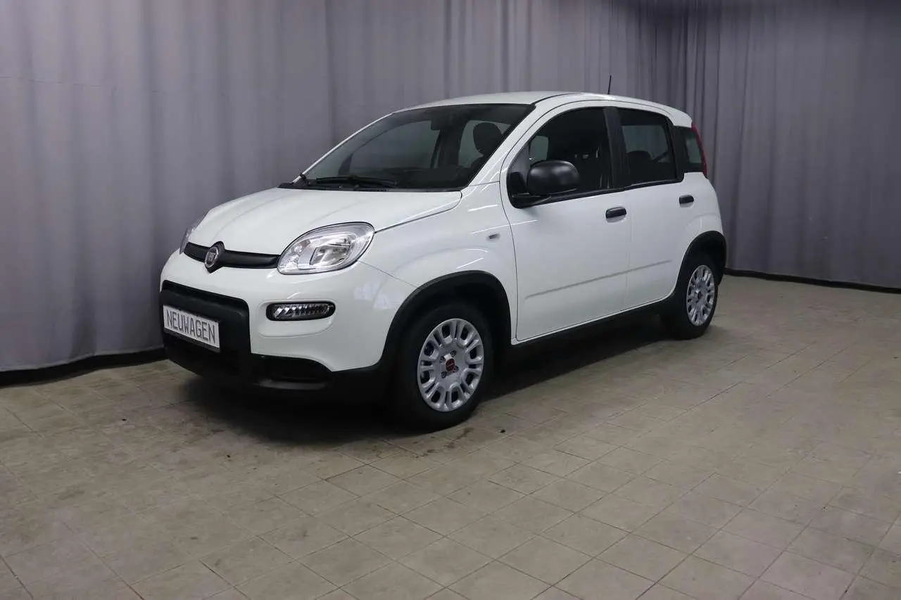 Photo 1 : Fiat Panda 2024 Petrol