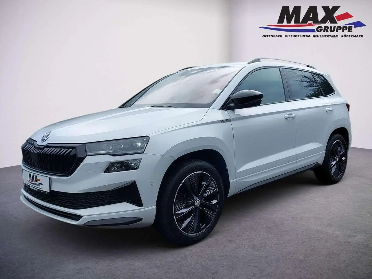 Photo 1 : Skoda Karoq 2023 Diesel