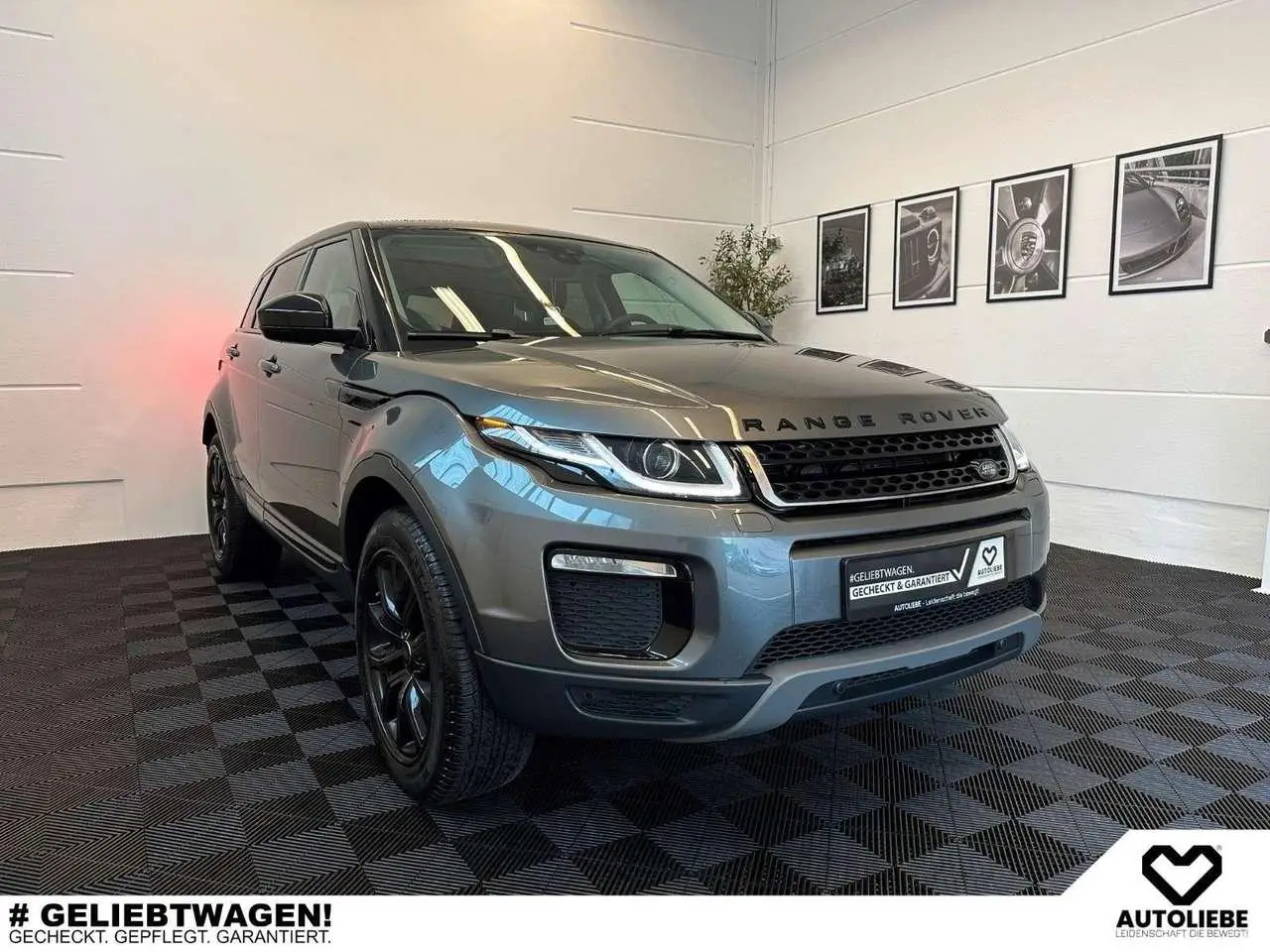 Photo 1 : Land Rover Range Rover Evoque 2019 Essence