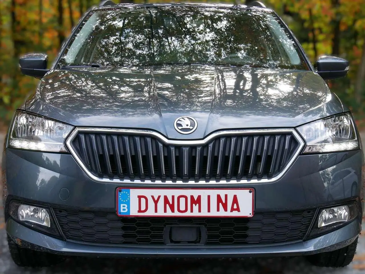 Photo 1 : Skoda Fabia 2019 Petrol