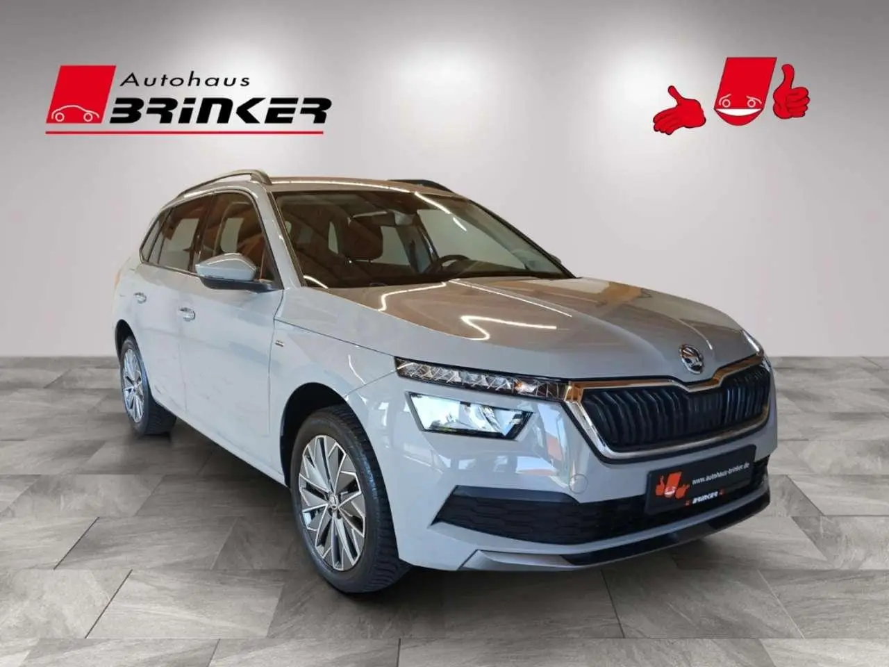 Photo 1 : Skoda Kamiq 2021 Others