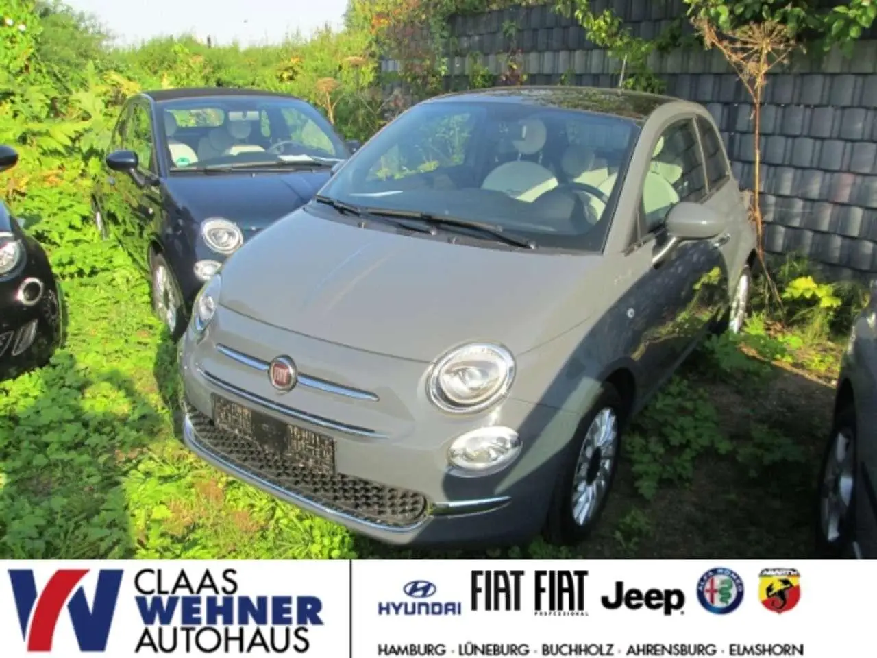 Photo 1 : Fiat 500 2021 Petrol