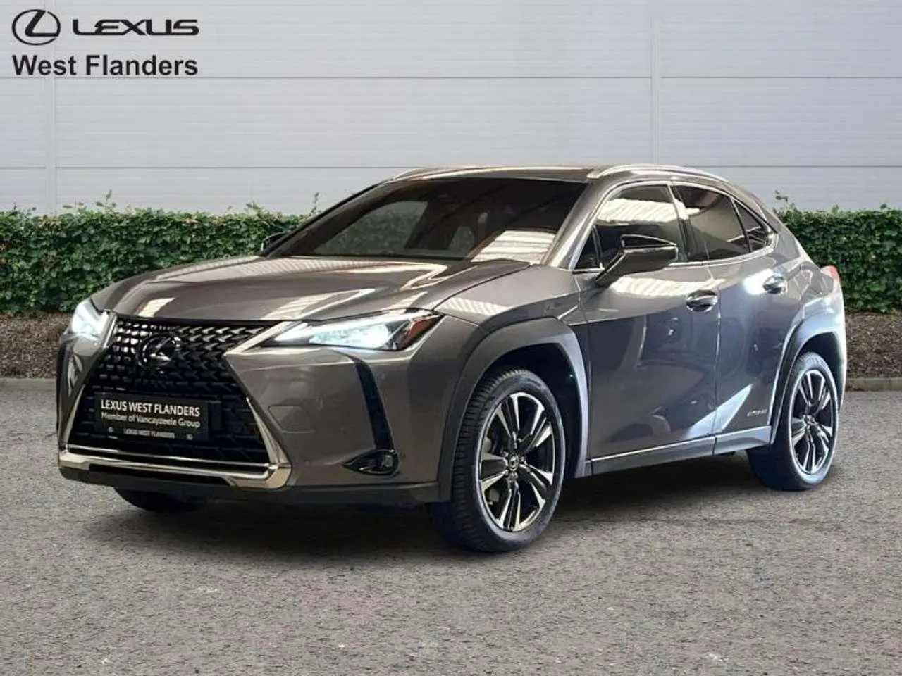 Photo 1 : Lexus Ux 2021 Hybride